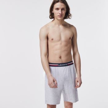 Lacoste Striped-Waist Long Boxer Briefs - Slipy Pánské Šedé | CZ-RwOO0k